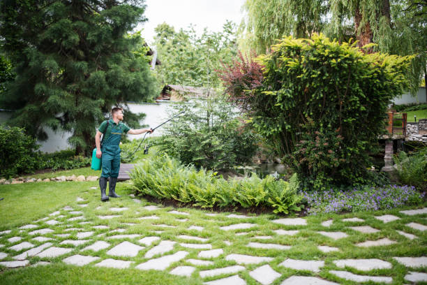 Best Stump Grinding and Removal  in Stratmoor, CO